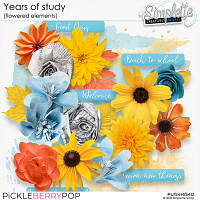 Years of study (flowered elements) by Simplette