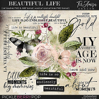 Beautiful Life ~ brushes and word art 