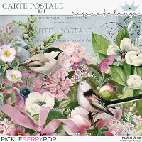 CARTE POSTALE THE KIT 