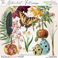 The Naturalist {Fall} Vintage