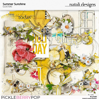 Summer Sunshine Overlays