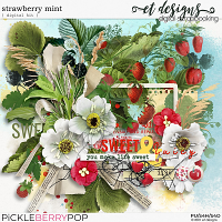 Strawberry Mint Kit by et designs