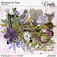 Moments In Time-goodies