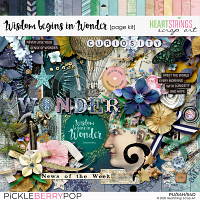 Wisdom Begins in Wonder Page Kit