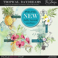 Tropical Daydreams ~ Fully Layered  Art Overlays