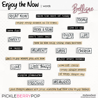 ENJOY THE NOW | words by Bellisae