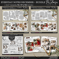 Everyday Notes Templates ~December Bundle by TirAmisu design 