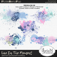 Live In The Moment Paint Overlays