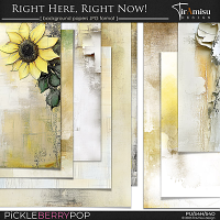 Right Here, Right Now! ~ background papers