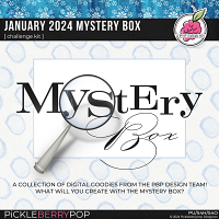 January 2024 Mystery Box