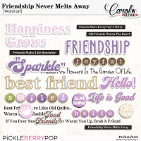 Friendship Never Melts Away-Word art