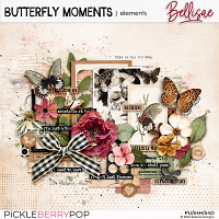 BUTTERFLY MOMENTS | elements by Bellisae