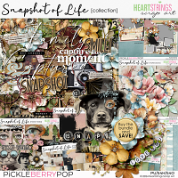 Snapshot of Life Collection