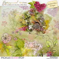 Spring Mood - Brushes (Jasmin-Olya Designs)