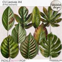CU leaves #4 by Sekada Designs