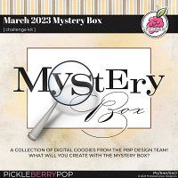 March 2023 Mystery Box