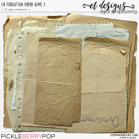 CU Forgotten Paper Gems 3 by et designs 