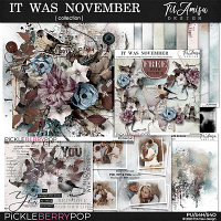 It Was November ~ Bundle Plus Free Gift by TirAmisu design 