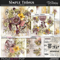 Simple Things Bundle by TirAmisu design