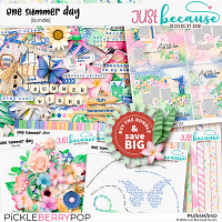 One Summer Day Bundle by JB Studio