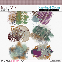 Trail Mix Grunge Pack