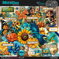 Everyday Miracles [Elements] by Cindy Ritter & Manu Scraps