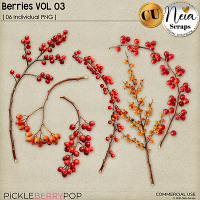 Berries VOL03 - CU - by Neia Scraps