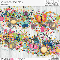 Squeeze the Day Whimsies