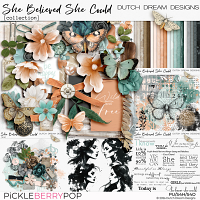 She Believed She Could - Collection