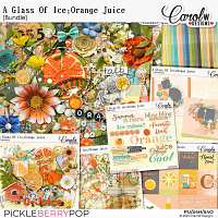 A Glass Of Ice:Orange Juice-Bundle