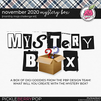 November 2020 Mystery Box