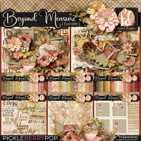 Beyond Measure: BBD Bundle