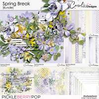 Spring Break-Bundle