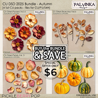 CU Bundle DSD 2025 - Autumn