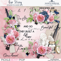 Our Story Clusters and Word Arts by Indigo Designs by Anna