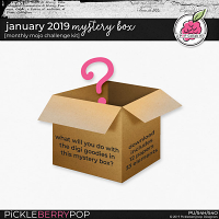 January 2019 Mystery Box