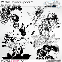 Winter Flowers (CU brushes + accents) pack 2