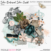 She Believed She Could - Mix