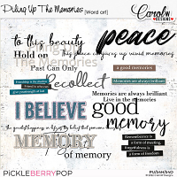 Piling Up The Memories-Word art