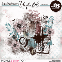 June Daydreams: Unfold Transfers by JB Studio