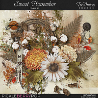 Sweet November ~ Basic Kit