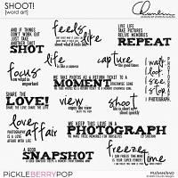 Shoot! - word art