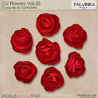 CU Flowers 33