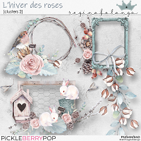 L'hiver des Roses cluster 2 FWP