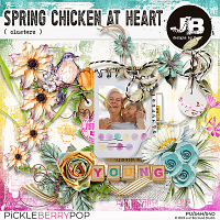 Spring Chicken At Heart Clusters by JB Studio