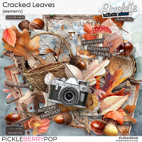 Cracked Leaves (elements) by Simplette