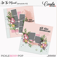 All The Moment-Template vol 3