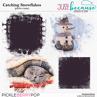 Catching Snowflakes Photo Masks by JB Studio