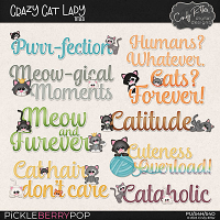 Crazy Cat Lady [Titles] by Cindy Ritter