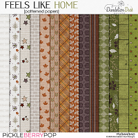 Feels Like Home: Patterned Papers